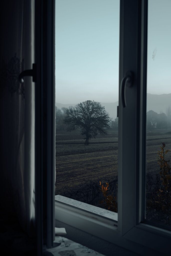 Fenêtre face à un paysage inconnu pour illustrer la fenêtre de tolérance face à la peur de l'inconnu